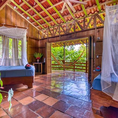 Selva Bananito Lodge Westfalia Exteriér fotografie