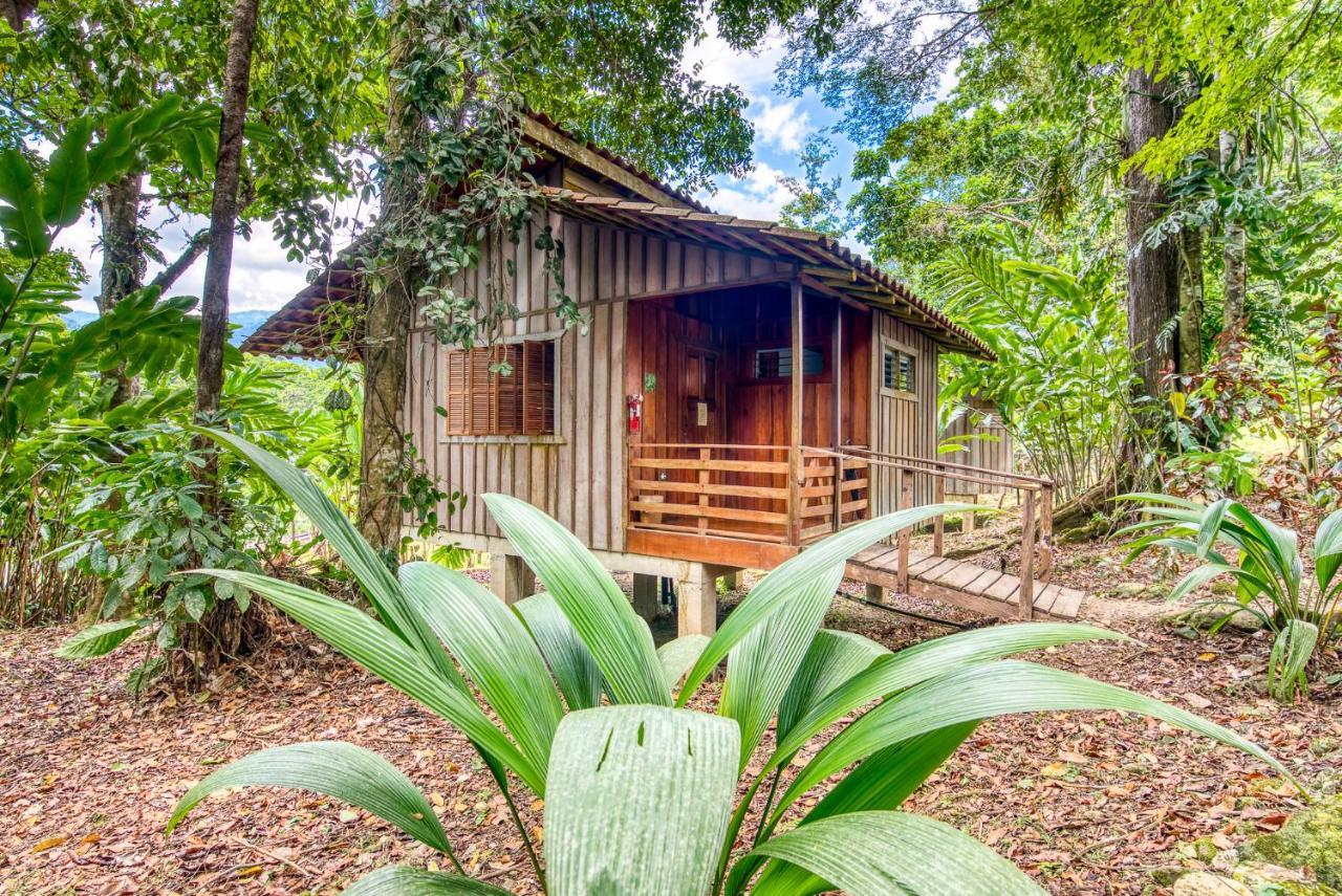 Selva Bananito Lodge Westfalia Exteriér fotografie