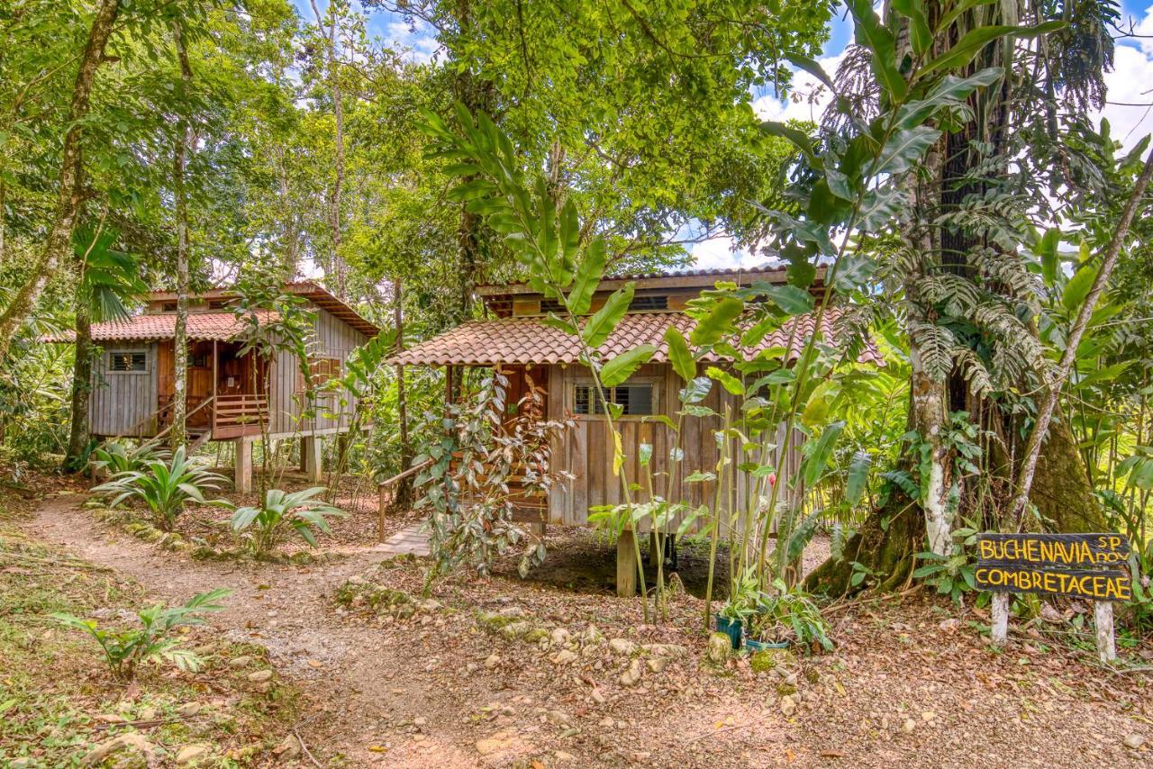 Selva Bananito Lodge Westfalia Exteriér fotografie