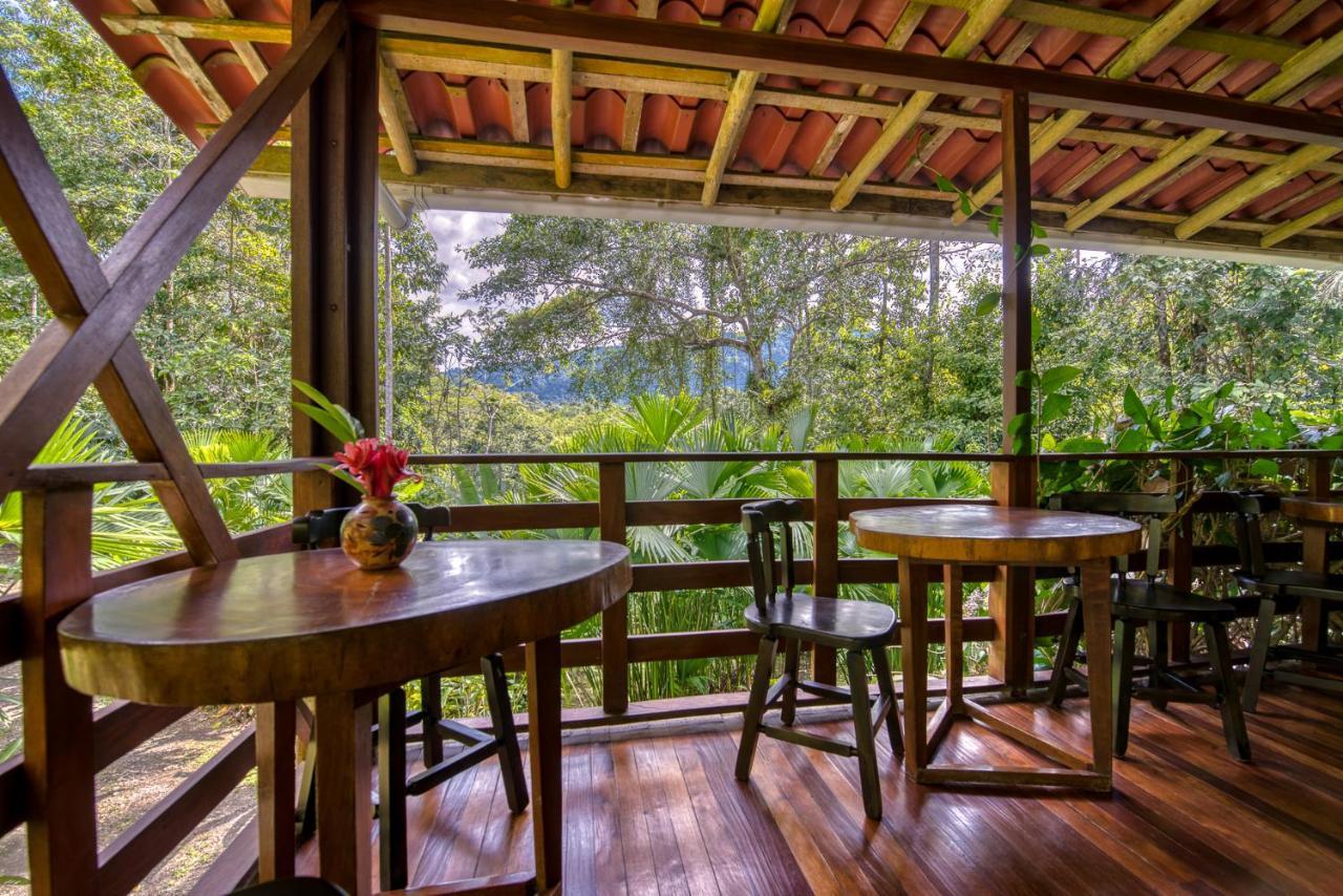 Selva Bananito Lodge Westfalia Exteriér fotografie