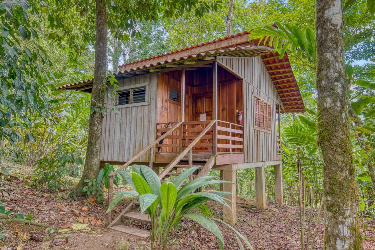 Selva Bananito Lodge Westfalia Exteriér fotografie