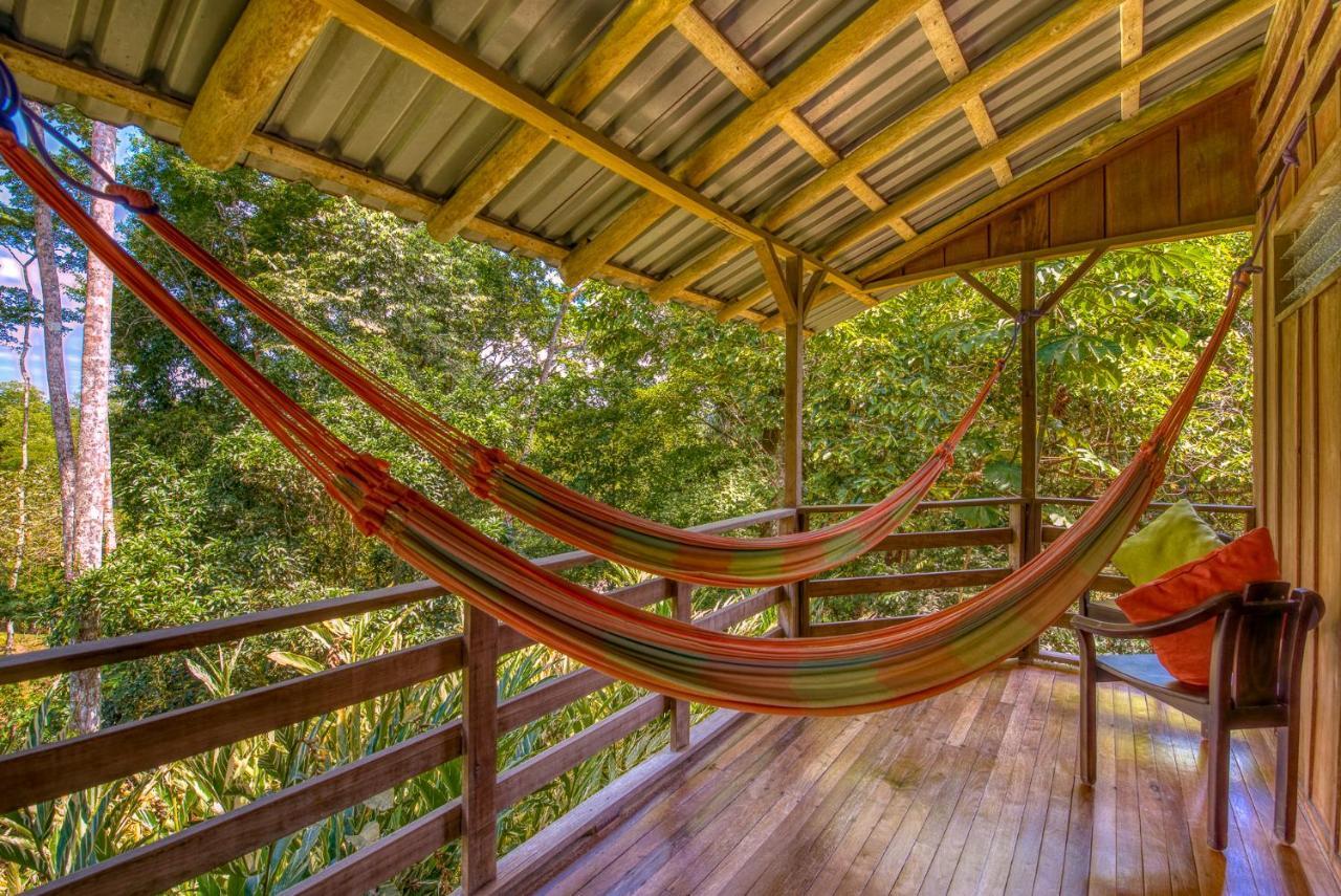 Selva Bananito Lodge Westfalia Exteriér fotografie