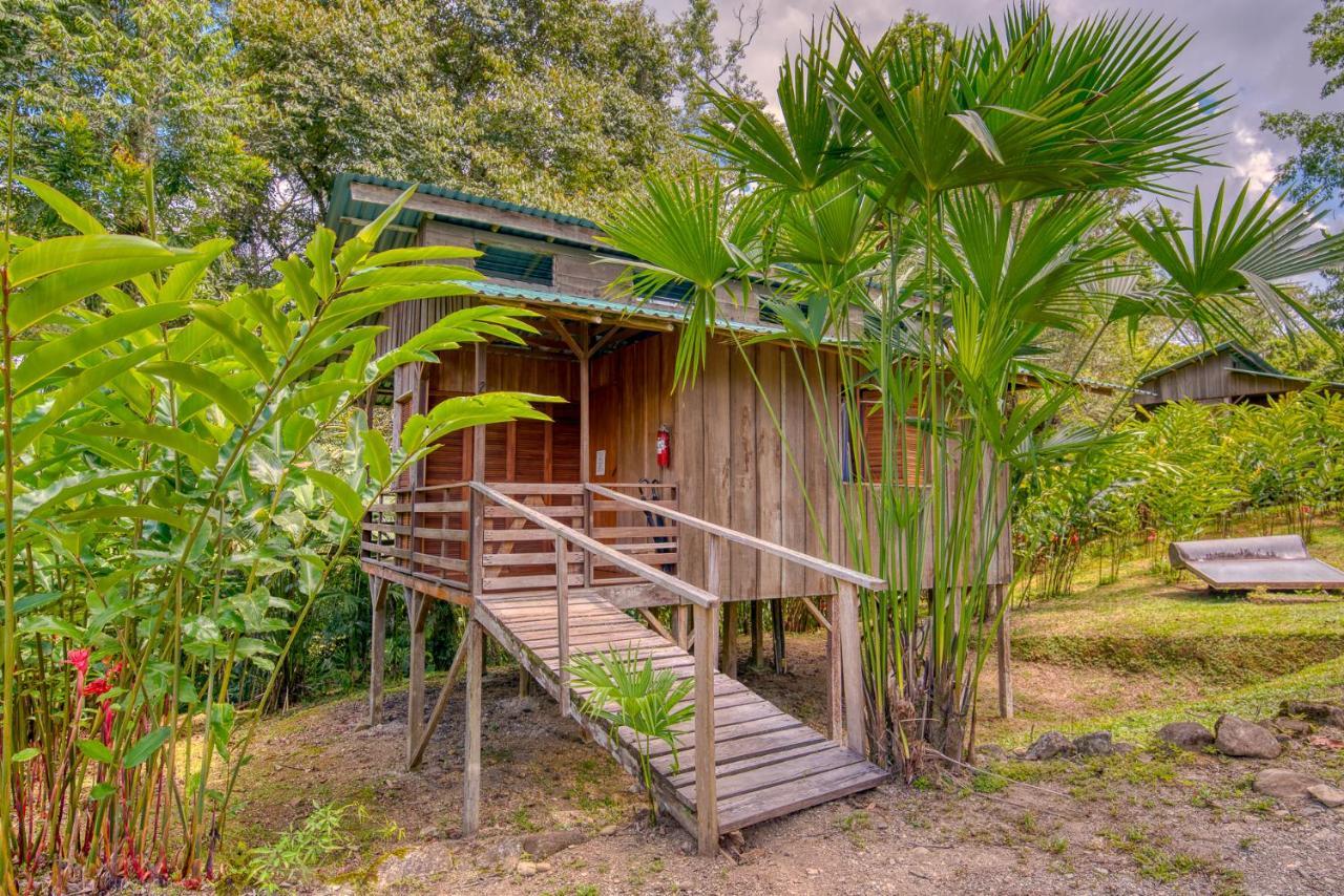 Selva Bananito Lodge Westfalia Exteriér fotografie