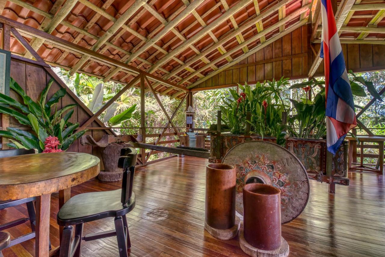Selva Bananito Lodge Westfalia Exteriér fotografie