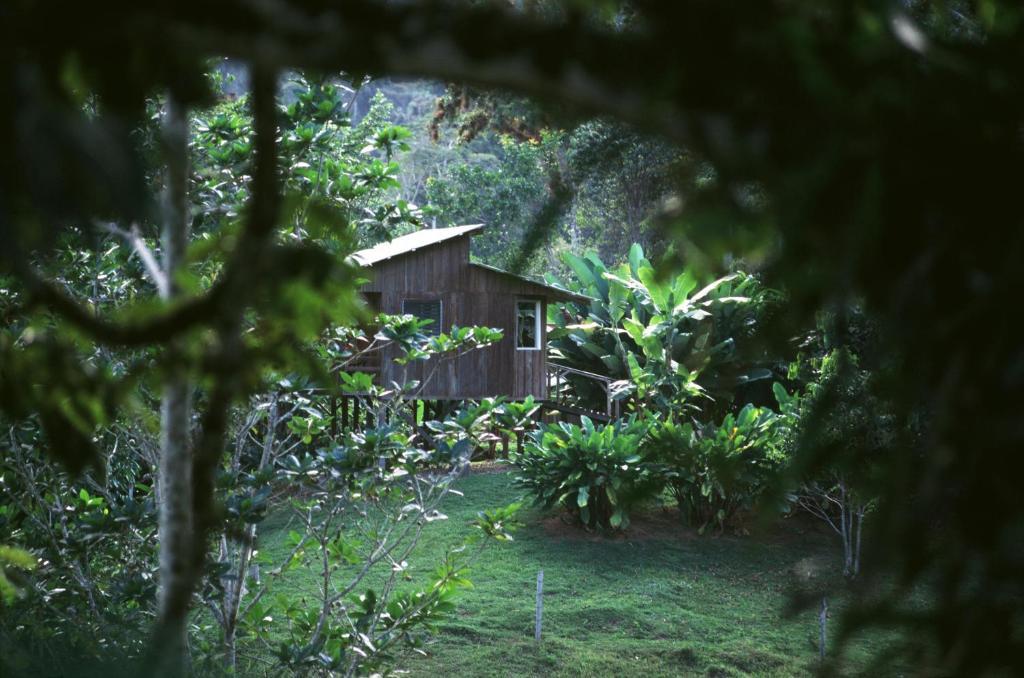 Selva Bananito Lodge Westfalia Pokoj fotografie