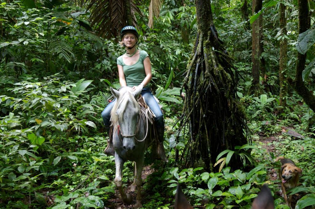 Selva Bananito Lodge Westfalia Exteriér fotografie