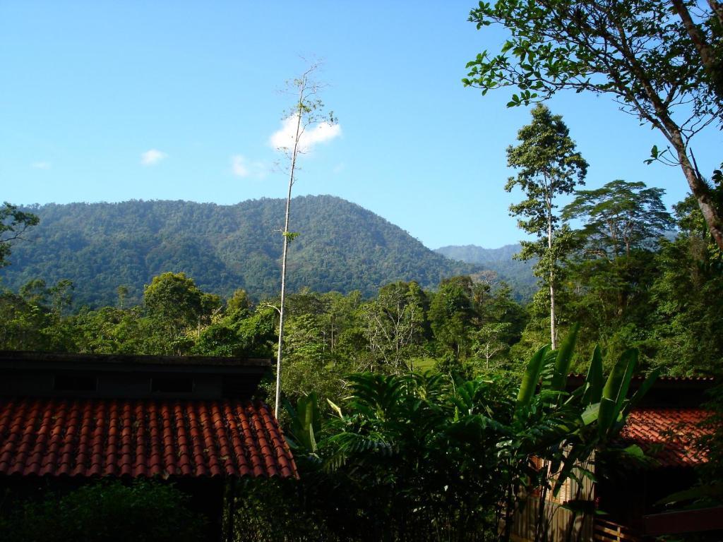 Selva Bananito Lodge Westfalia Exteriér fotografie