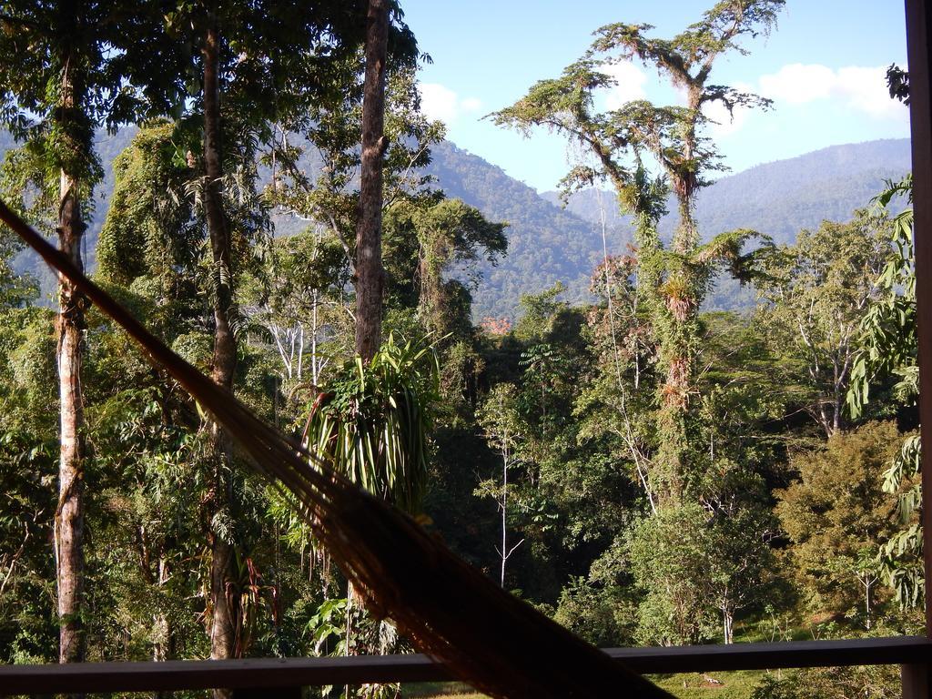 Selva Bananito Lodge Westfalia Pokoj fotografie